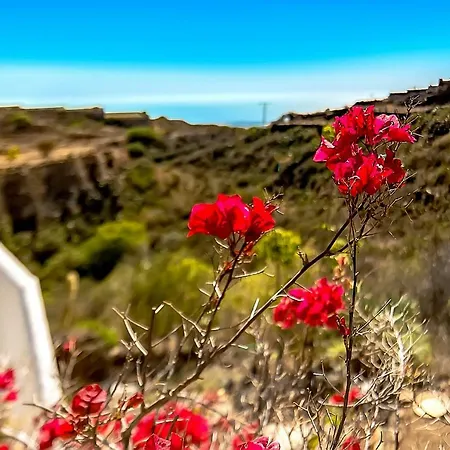 Jardines De Tamaide Летний дом